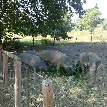 Quinta Da Varzea カントリーハウス カベセイラス・デ・バスト